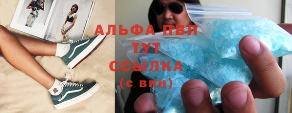 мдпв Богородск