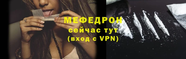 молекула духа Богородицк