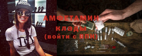 мдпв Богородск
