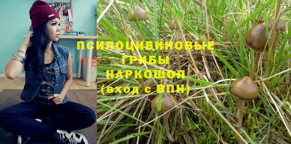 мдпв Богородск