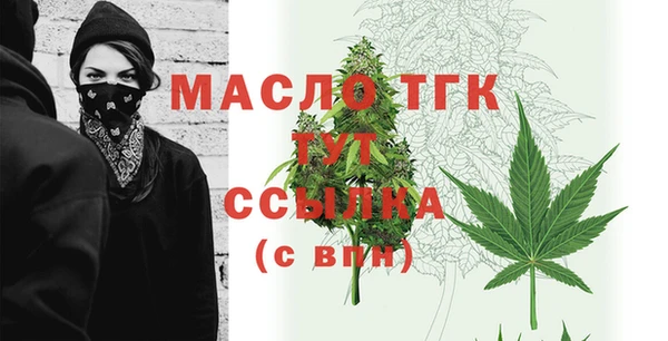 молекула духа Богородицк
