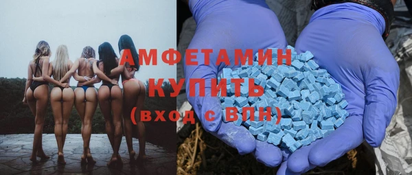 молекула духа Богородицк